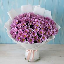 Букет цветов из:  Хризантемы #REPLACE_PRED# Чадане