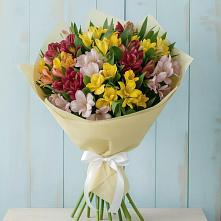 Букет цветов из:  Альстромерии в Чадане