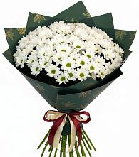 Букет цветов из:  Хризантемы #REPLACE_PRED# Чадане