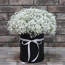 Цветочная композиция из Гипсофила в шляпной коробке в Чадане