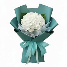 Букет цветов из:  Гортензия в Чадане